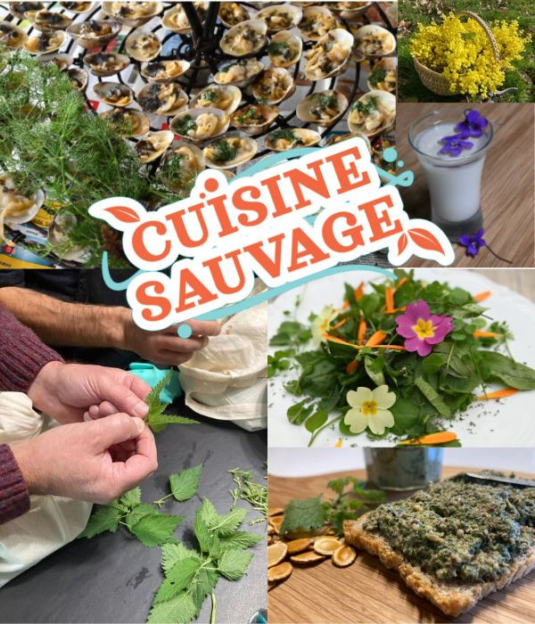 Atelier cuisine sauvage - Saint Lyphard - Entre Sel et Tourbe